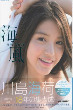 内线电视剧